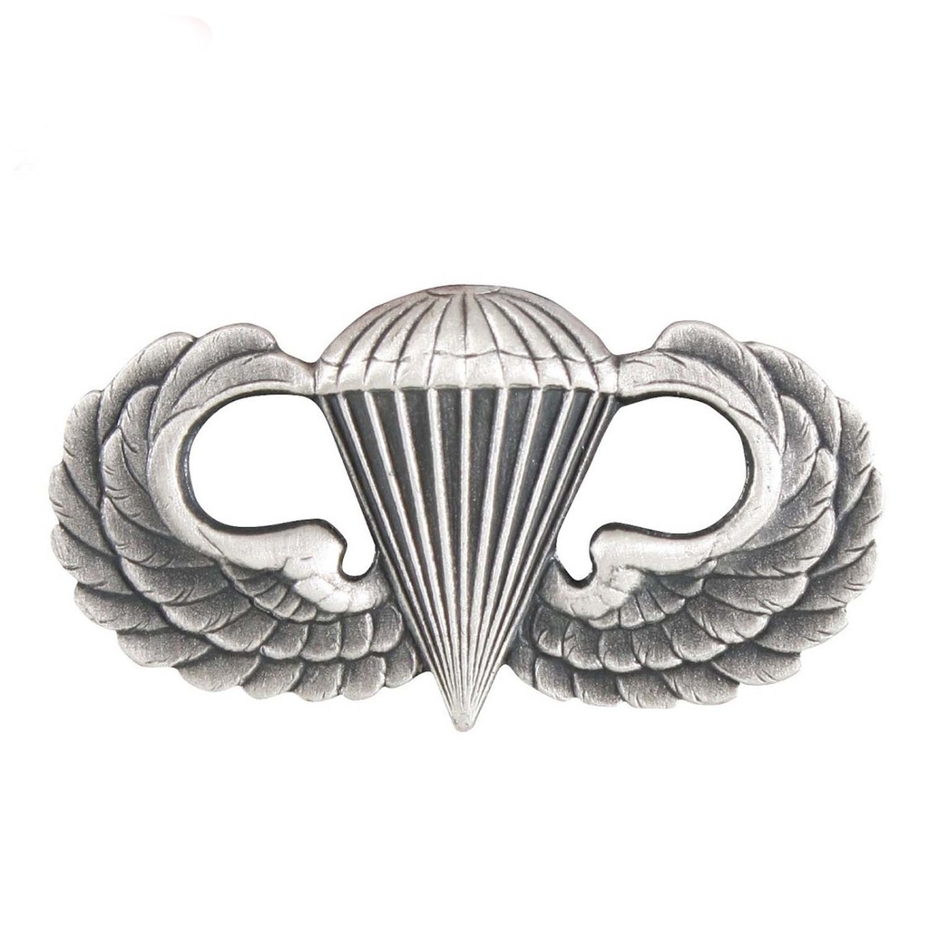 Odznak US PARA BASIC