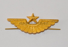 Odznak - Letectvo SSSR