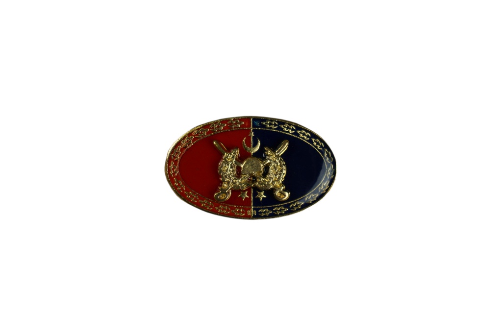 Odznak Seržantní kontinentální velitelský 2 hvězdy