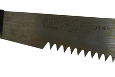 Pila kaprovka ( břichatka )