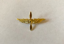 Odznak AČR rozlišovací vzdušné síly