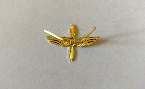 Odznak AČR rozlišovací vzdušné síly