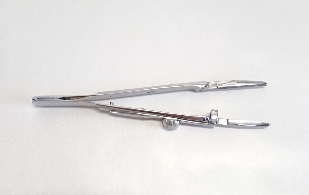 Jehelec oční (Landolt)