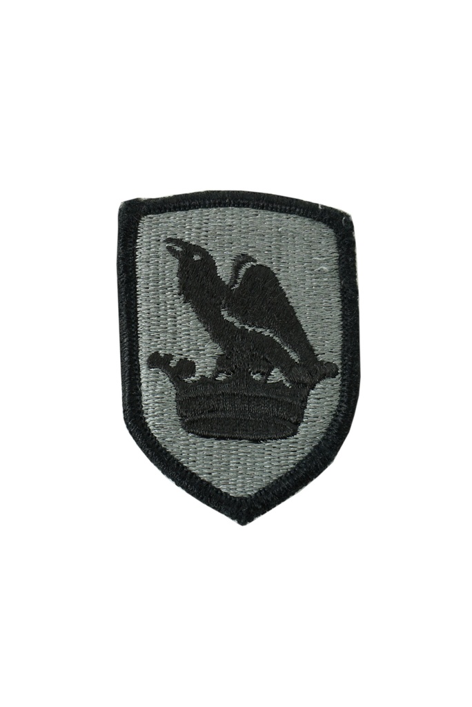 Nášivka národní gardy Washingtonské armády VELCRO