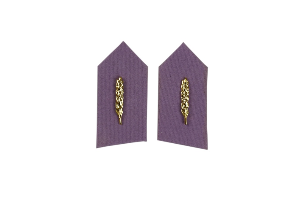 Límcové výložky Pověřený poddůstojník zásobování