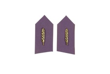 Límcové výložky Pověřený poddůstojník zásobování