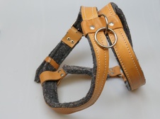 Postroj pro strážního  psa