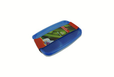 Dóza dělená 2 ks; 23x16x5,5 cm; 1 l; plast; mix barev